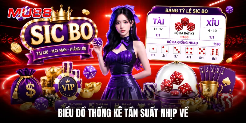 Biểu đồ thống kê tần suất nhịp về