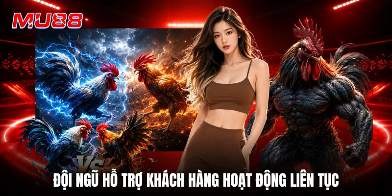 Đội ngũ hỗ trợ khách hàng hoạt động liên tục