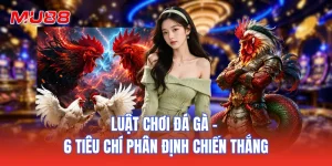 Luật Chơi Đá Gà - 6 Tiêu Chí Phân Định Chiến Thắng